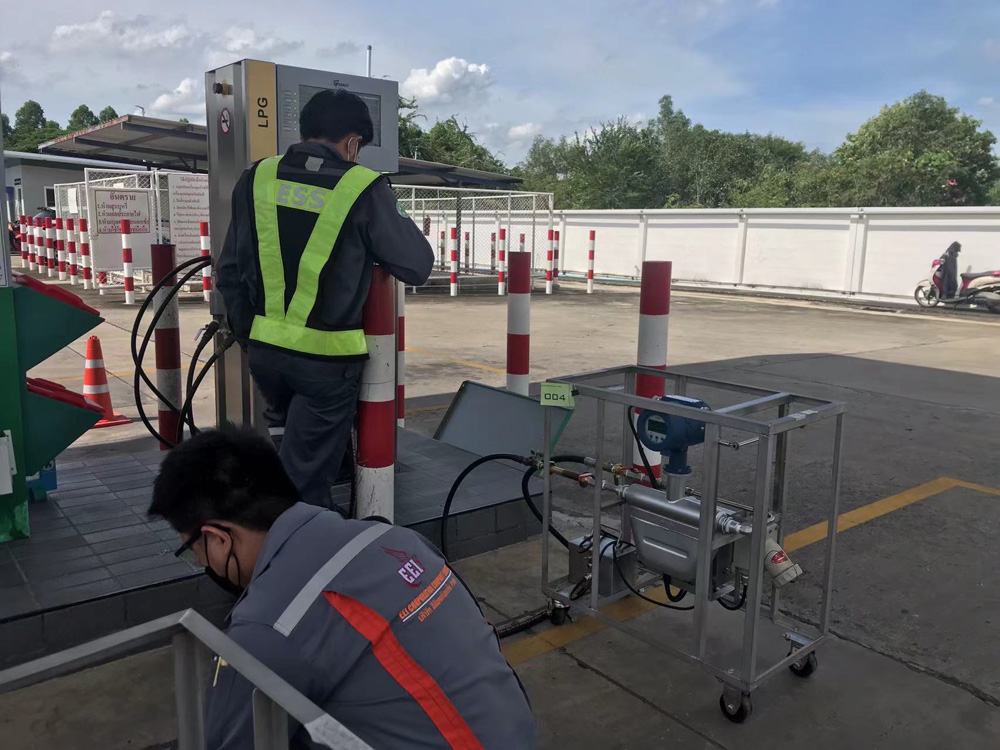 F-1001 Coriolis Flow Meter - Image 2